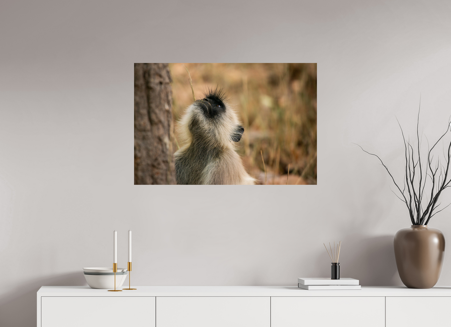 Gaze of Curiosity (Fiammetta Venner)