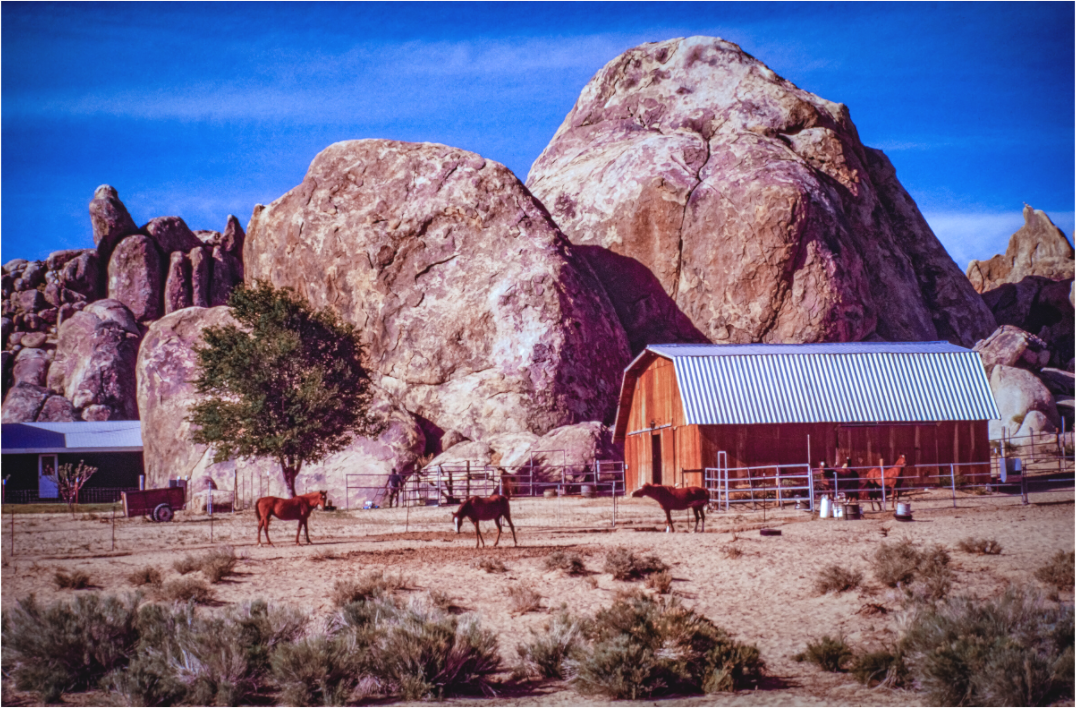 Rustic Harmony (Aline de Nanxe)
