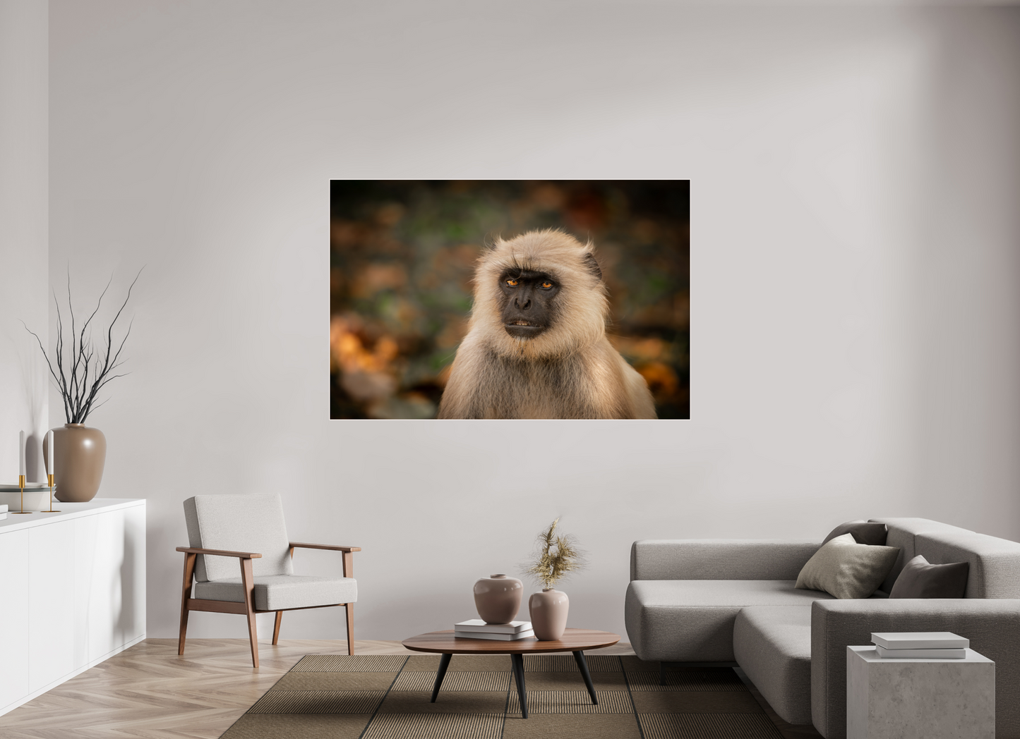 Langur Whispers (Fiammetta Venner)
