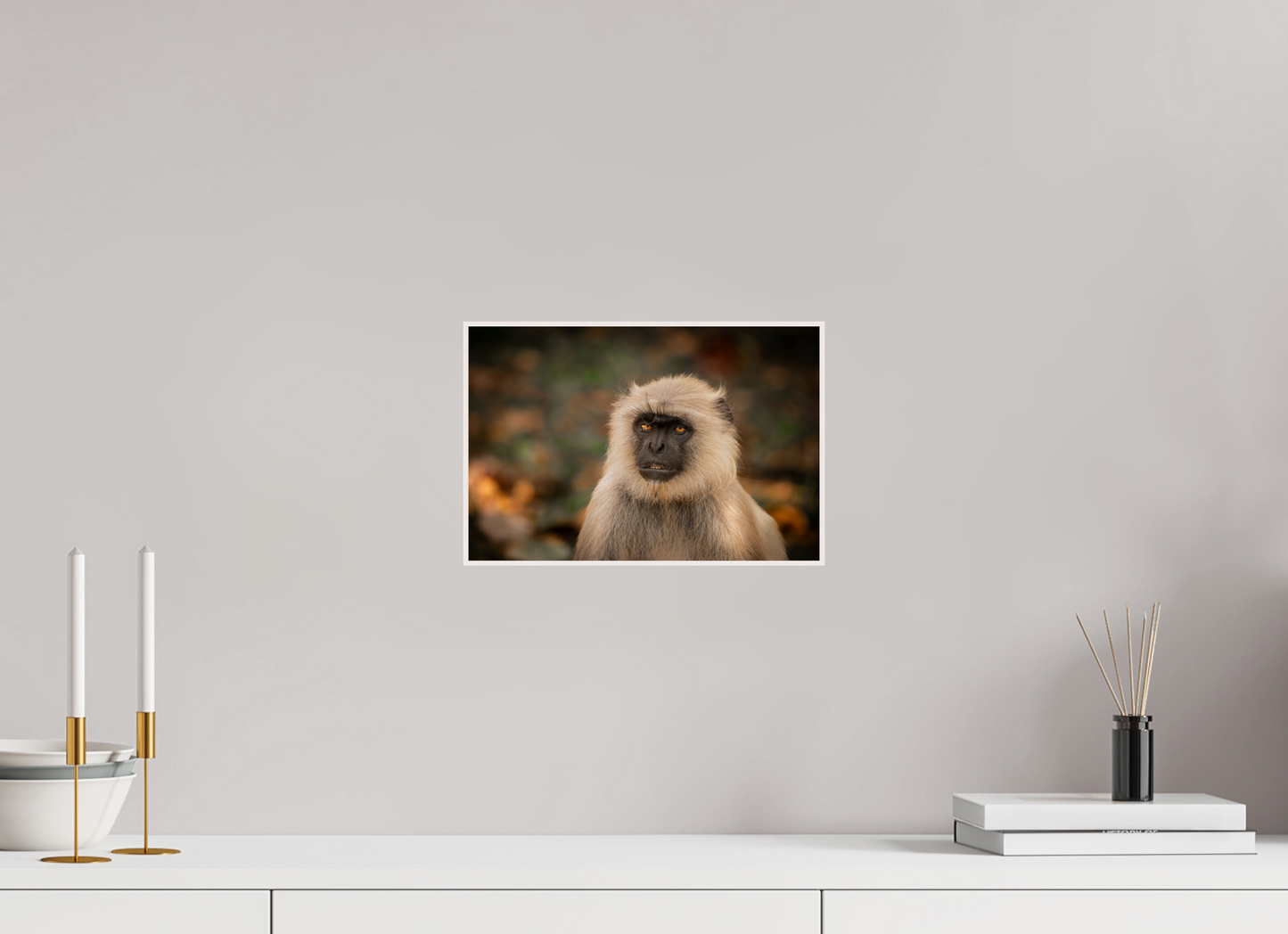 Langur Whispers (Fiammetta Venner)