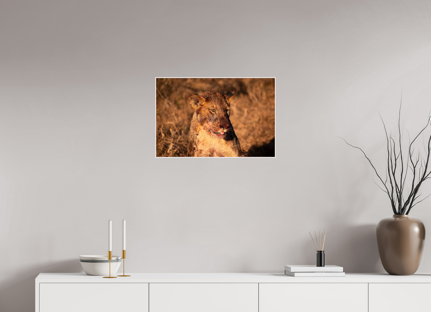 Lioness Resilience (Fiammetta Venner)
