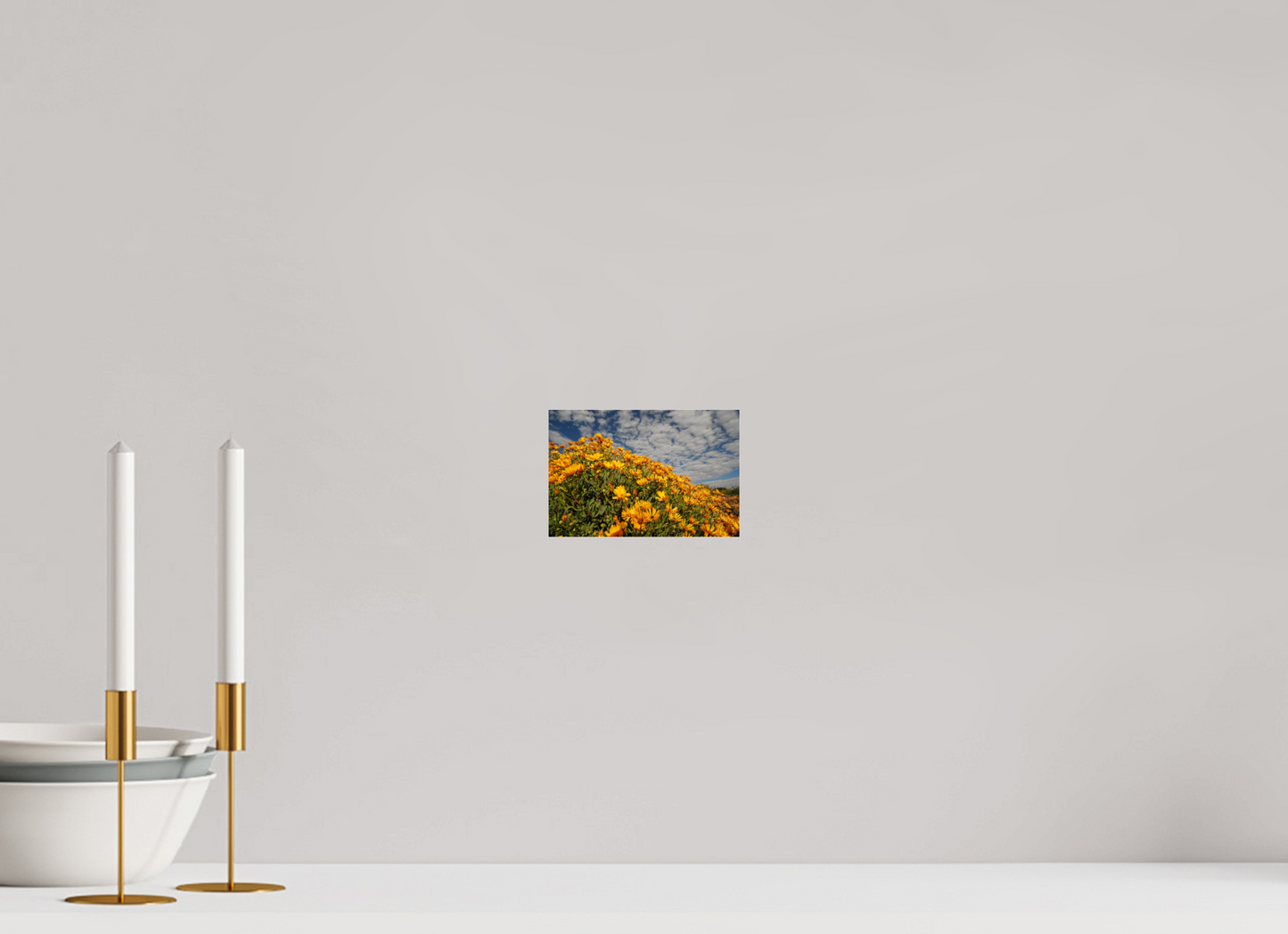 Golden Blooms Under the Sky (Fiammetta Venner)