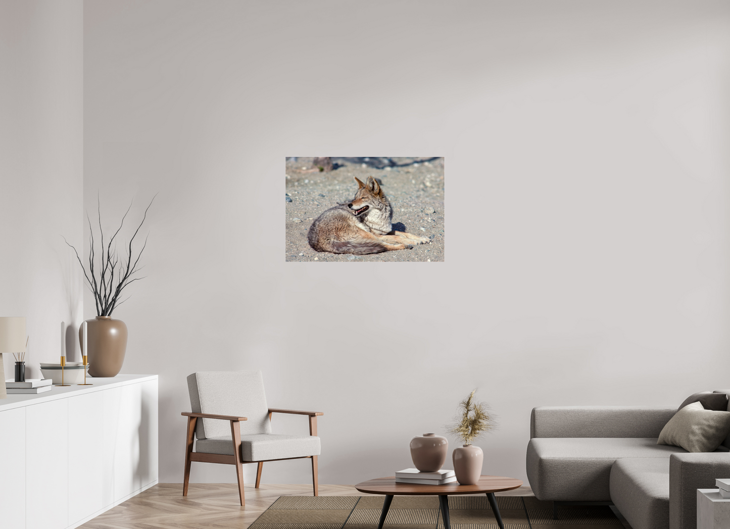 Resting Coyote (Aline de Nanxe)