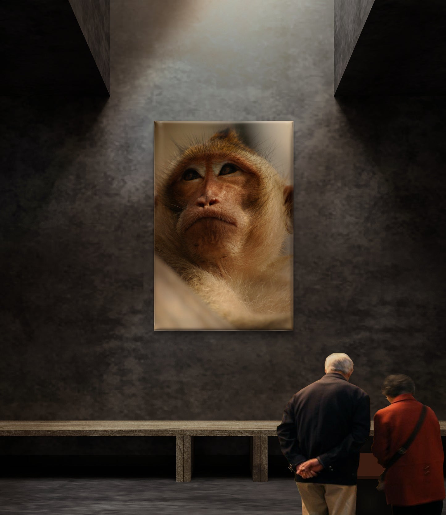 Contemplative Gaze (Caroline Fourest)