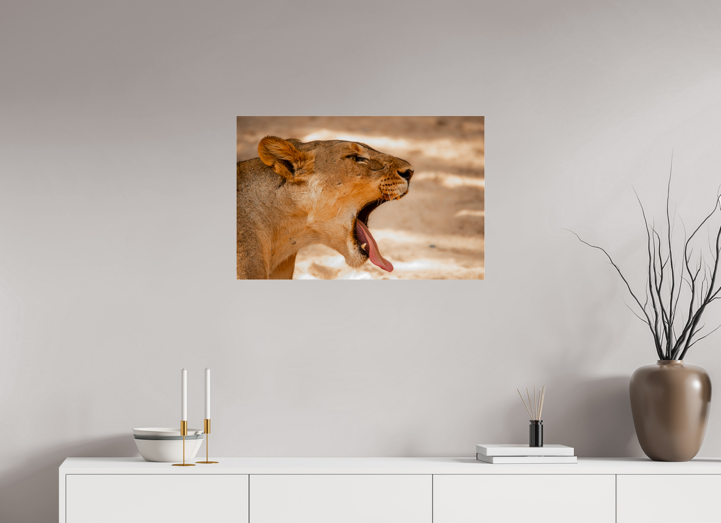 Lioness Yawn (Fiammetta Venner)