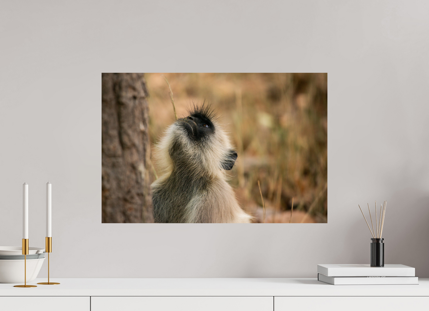 Gaze of Curiosity (Fiammetta Venner)