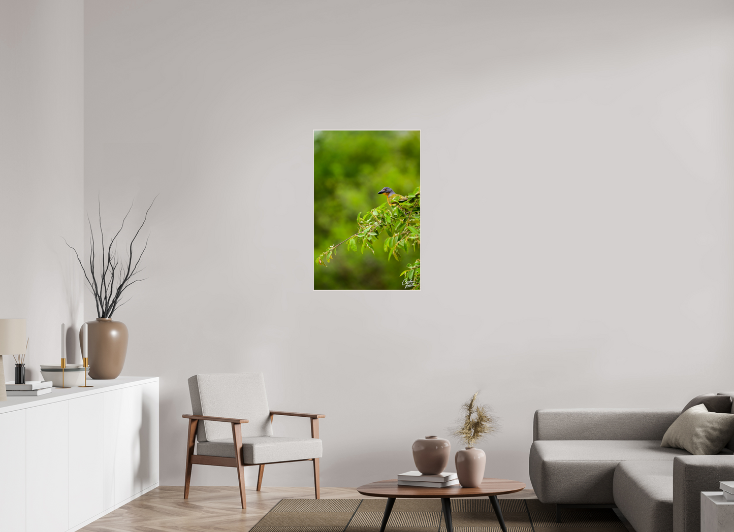 Vibrant Perch (Caroline Fourest)