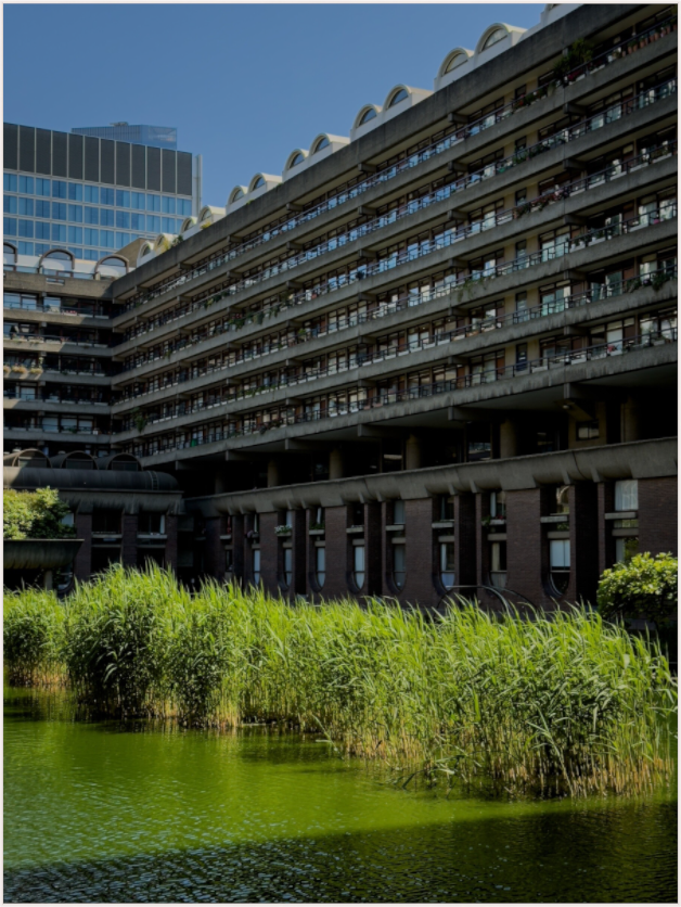 Reflektiewe waters (Fiammetta Venner)