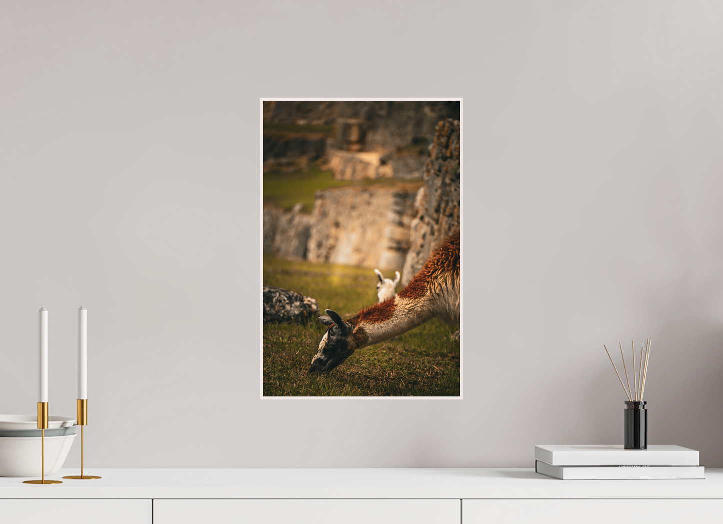 Tranquil Guardian of Machu Picchu (Fiammetta Venner)