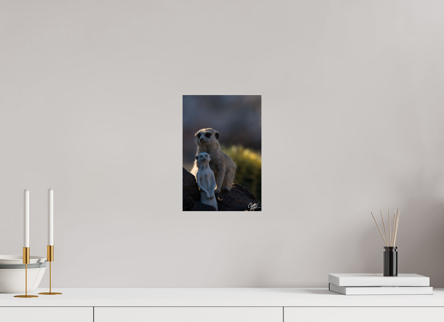 Meerkat Puppet (Caroline Fourest)