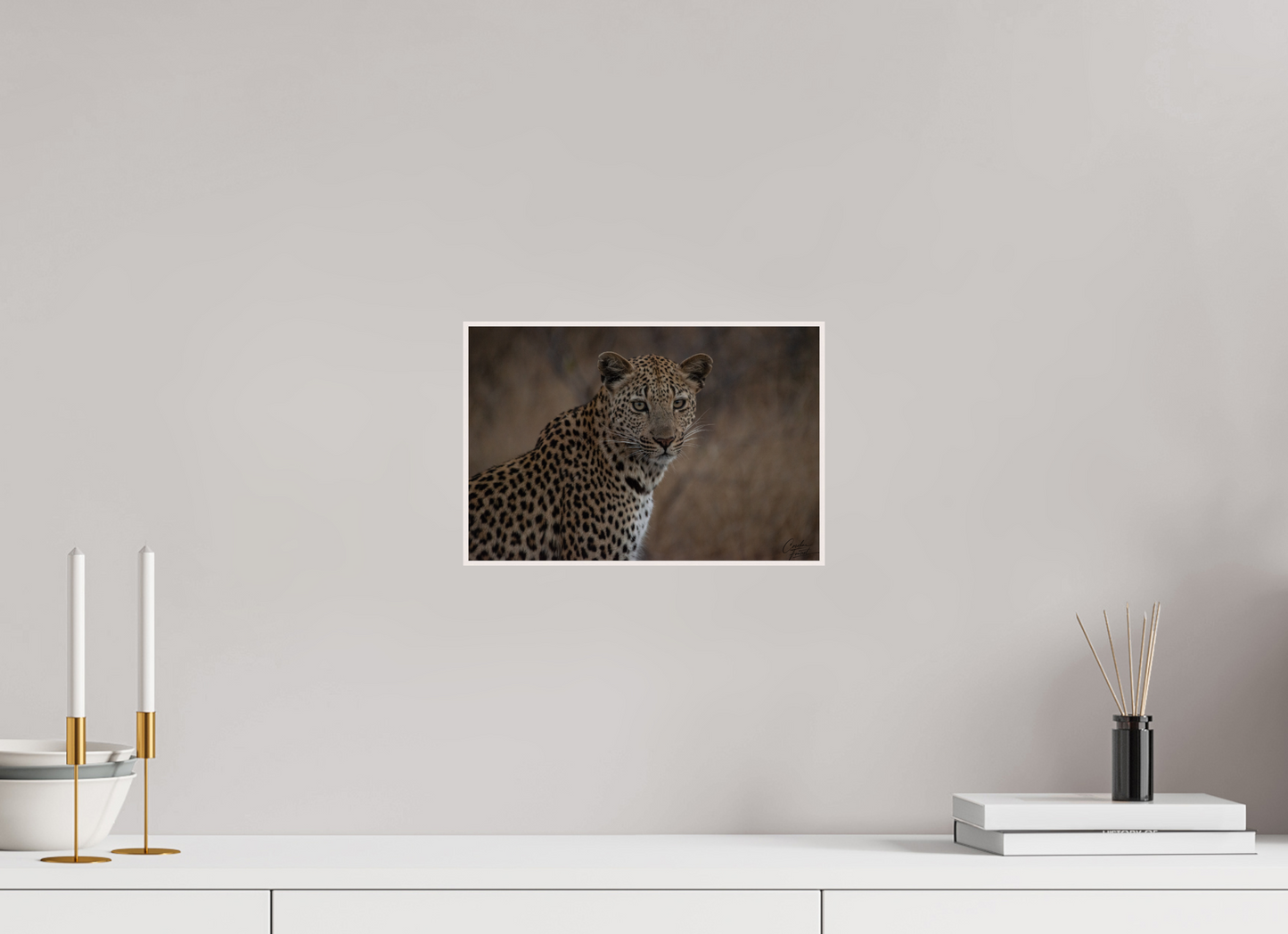 Spotted Majesty (Caroline Fourest)