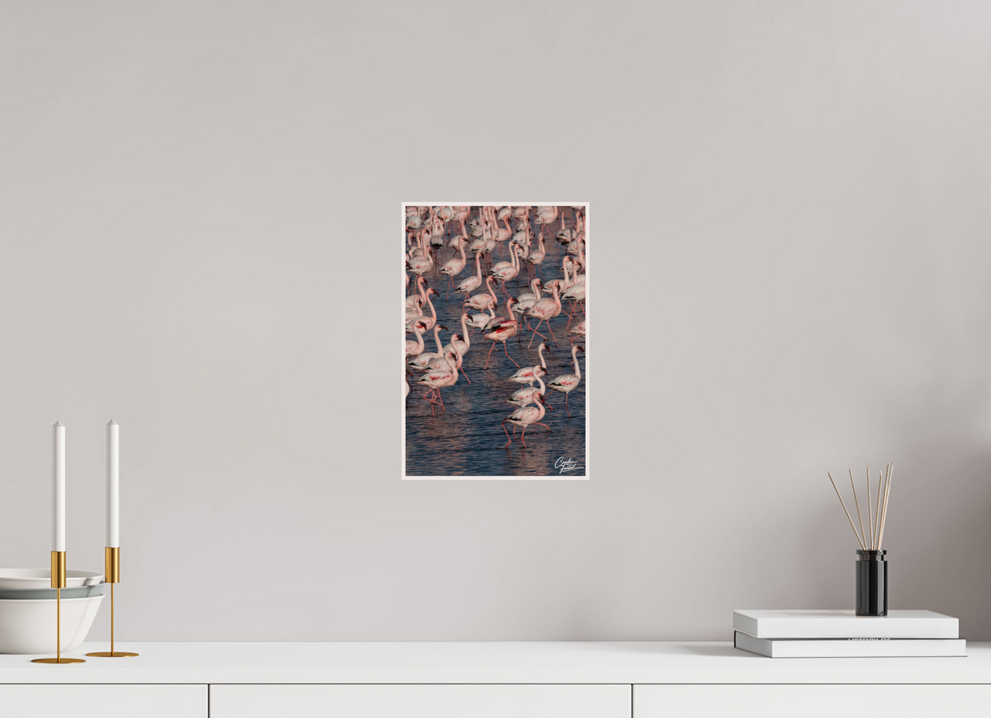 Blush of the Wetlands (Caroline Fourest)