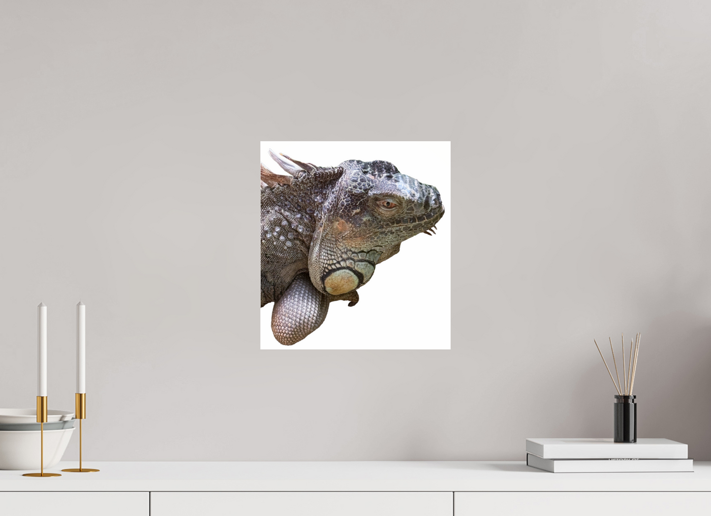 Majestic iguana (Fiammetta Venner)
