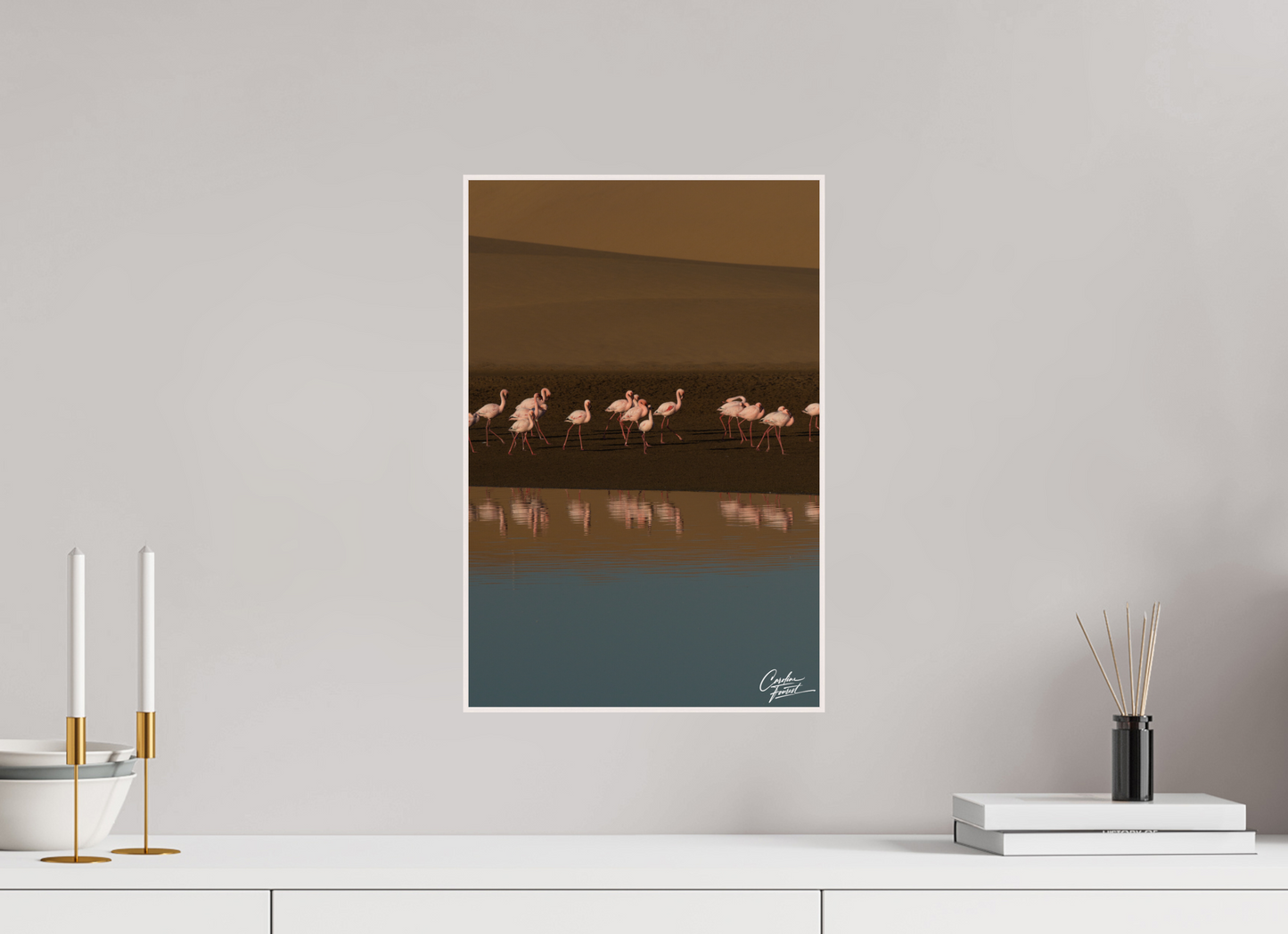 Dance of the Flamingos (Caroline Fourest)