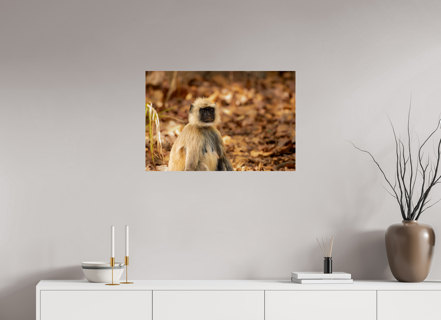 Langur Contemplative Gaze (Fiammetta Venner)