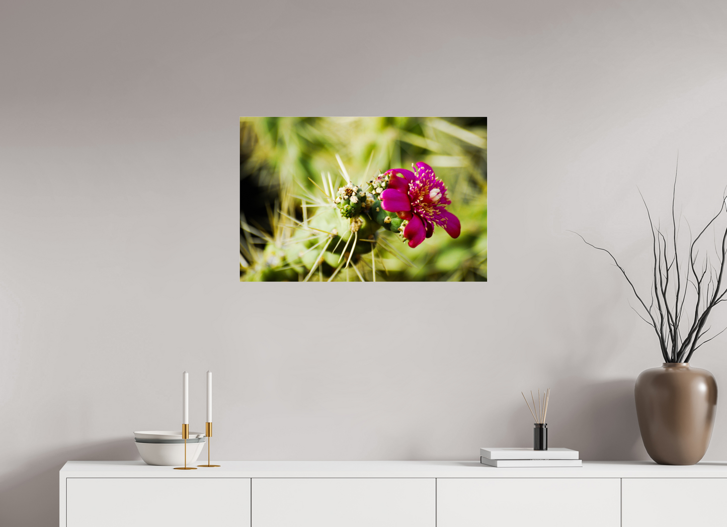 Blessed Cactus (Fiammetta Venner)