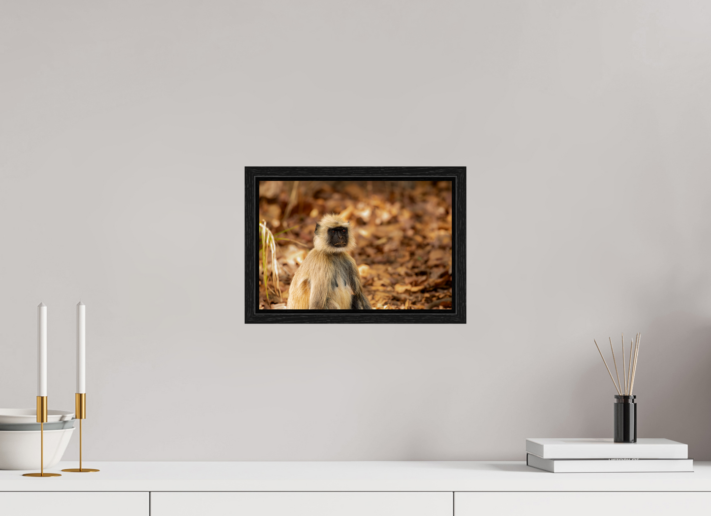 Langur Contemplative Gaze (Fiammetta Venner)