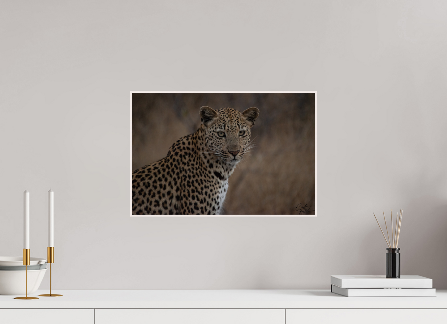 Spotted Majesty (Caroline Fourest)