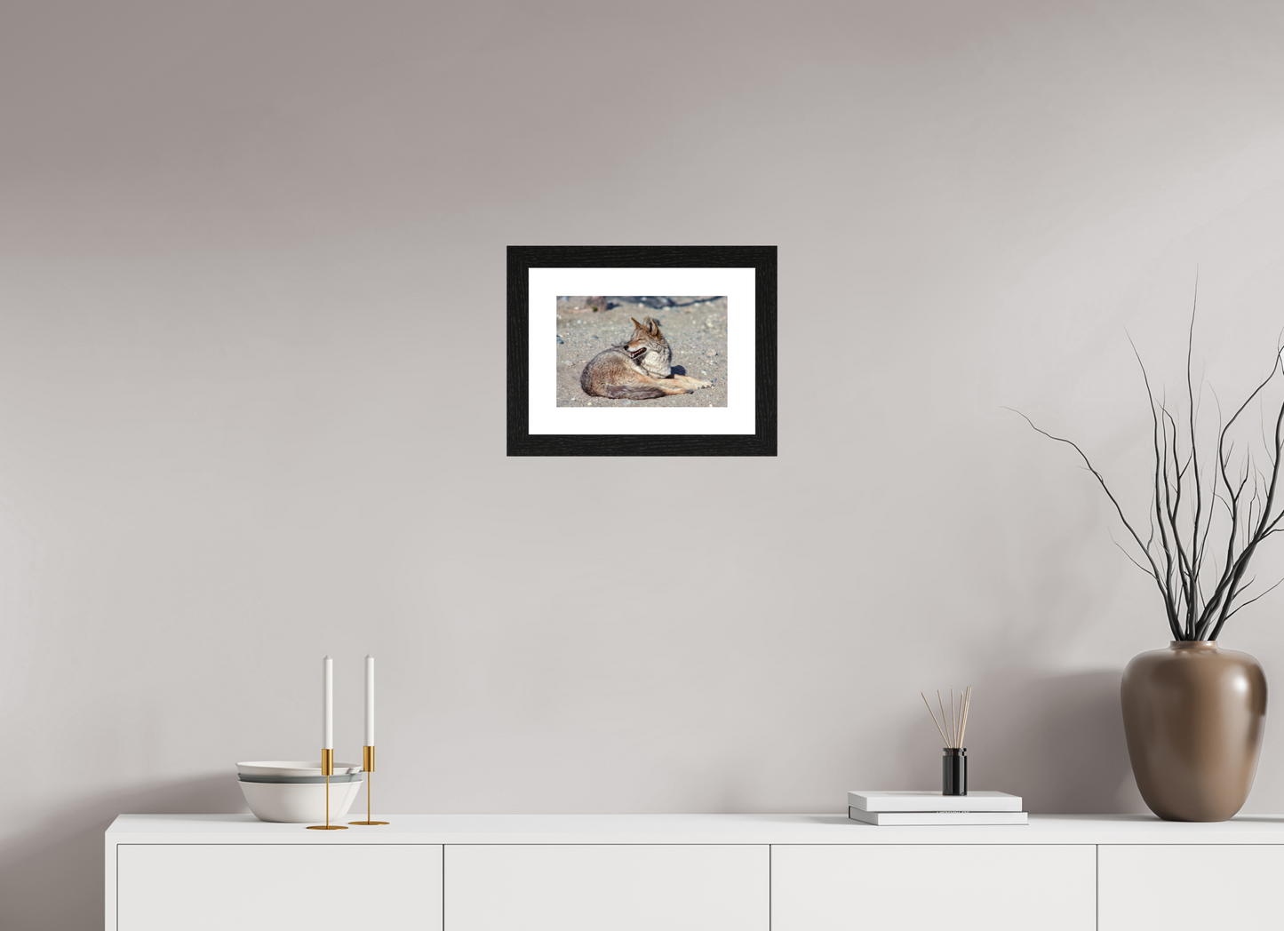 Resting Coyote (Aline de Nanxe)