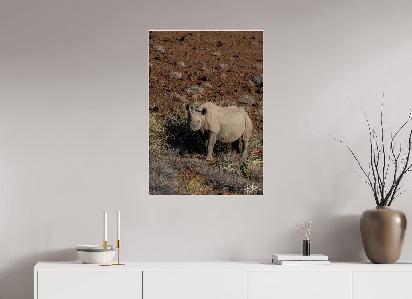 Black rhino guardian (Caroline Fourest)