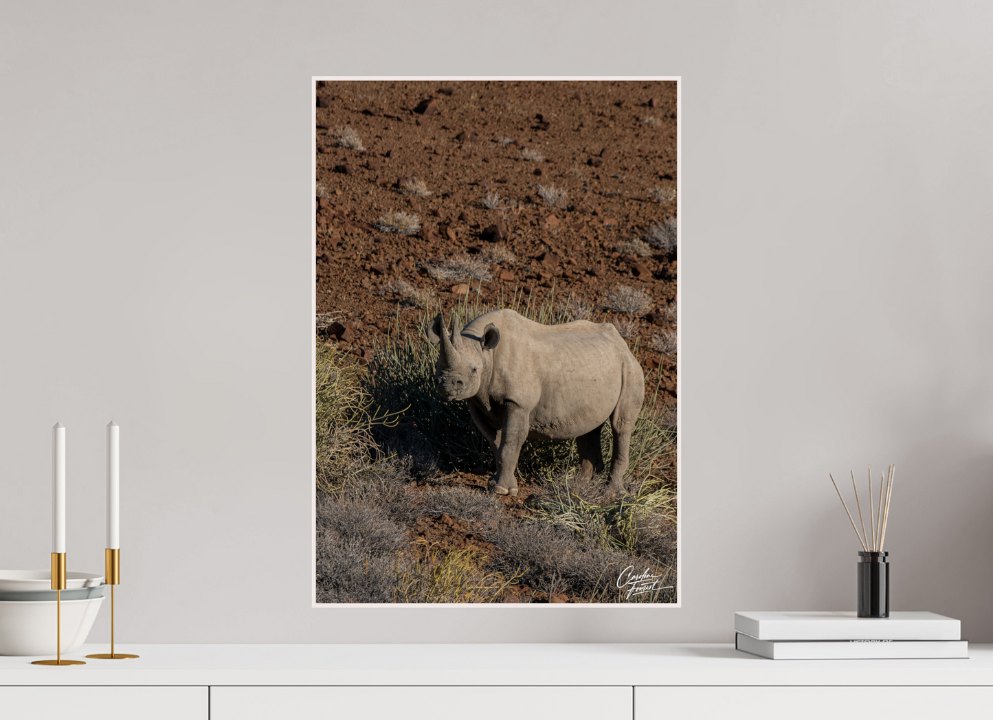 Black rhino guardian (Caroline Fourest)