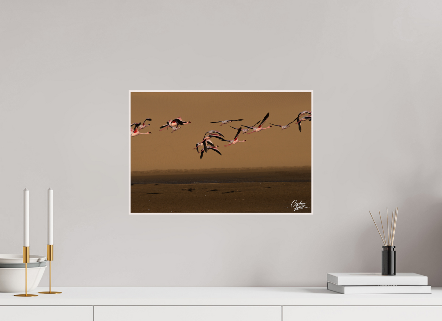 Echoes in Flight (Caroline Fourest)