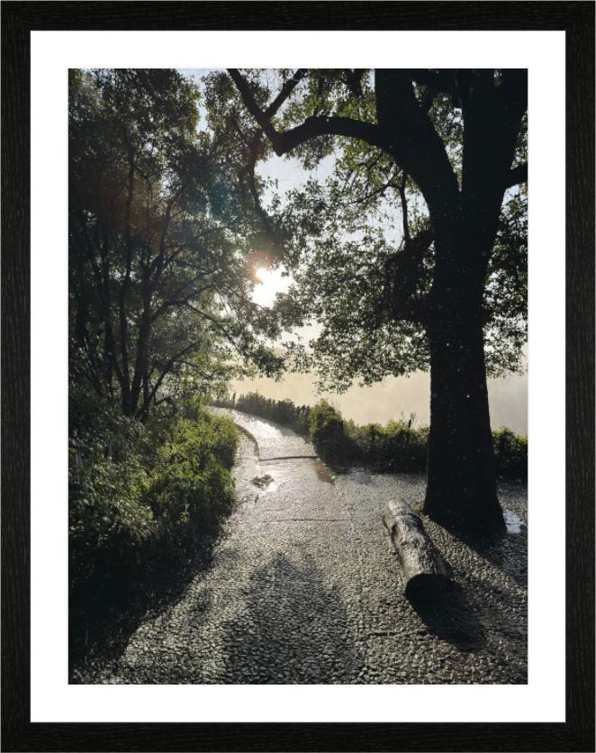 Main image Where Light and Water Weave Their Magic (Caroline Fourest)