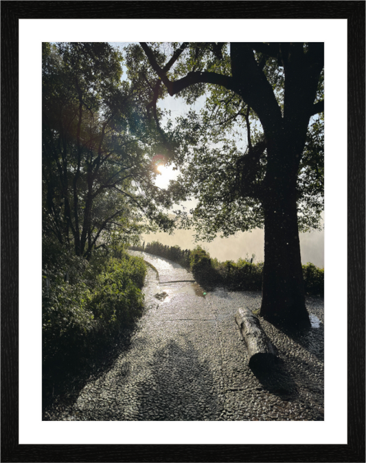 Main image Where Light and Water Weave Their Magic (Caroline Fourest)