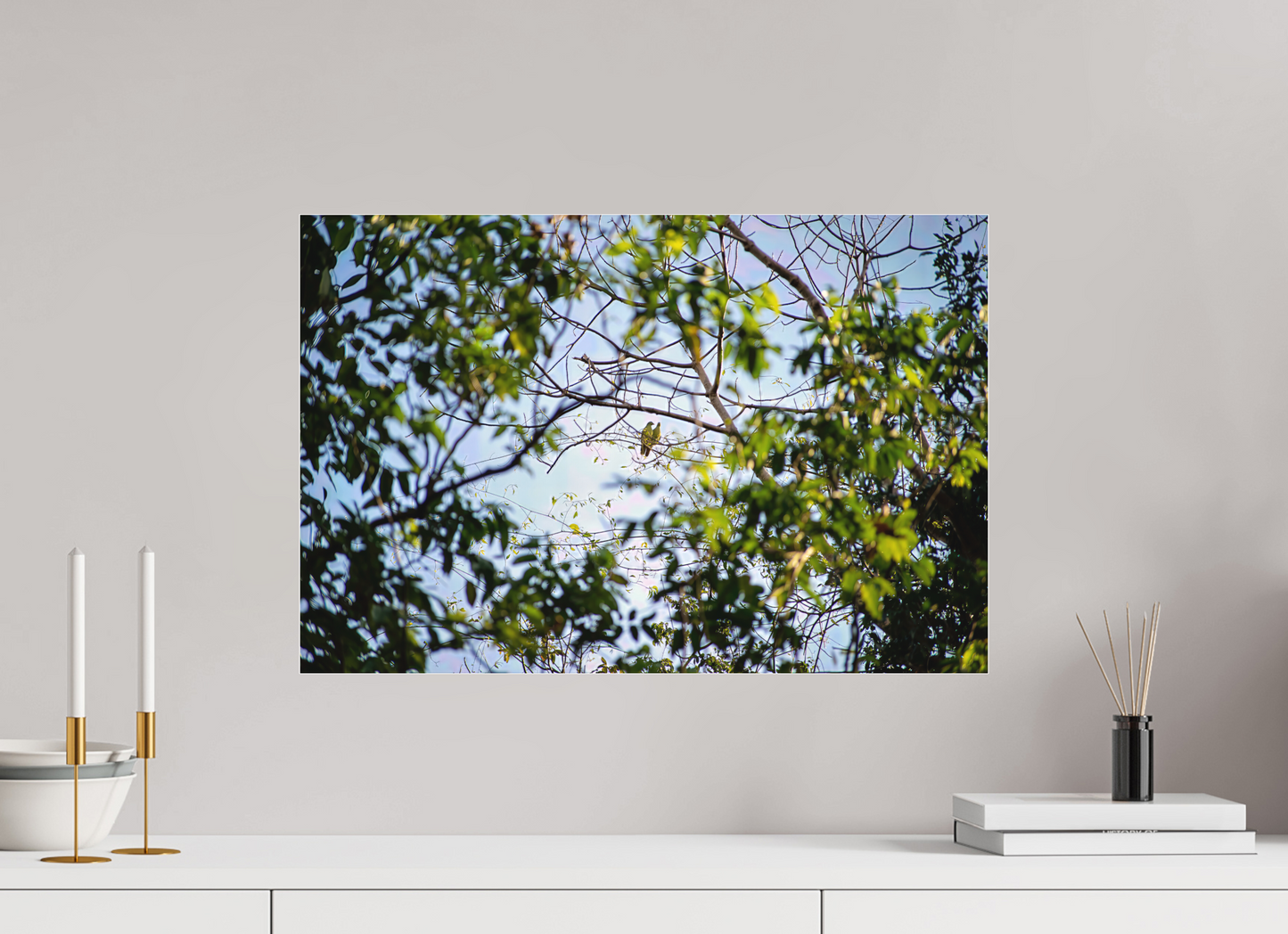 60 x 40 cm, Tirage photo sous Plexi mat camp