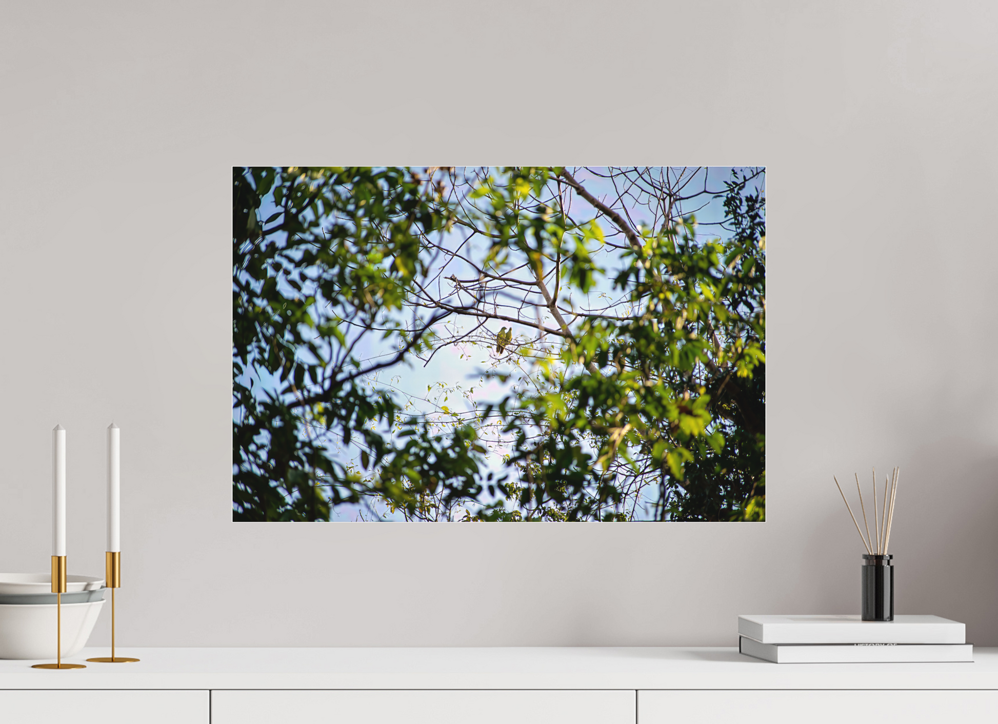 60 x 40 cm, Tirage photo sous Plexi mat camp