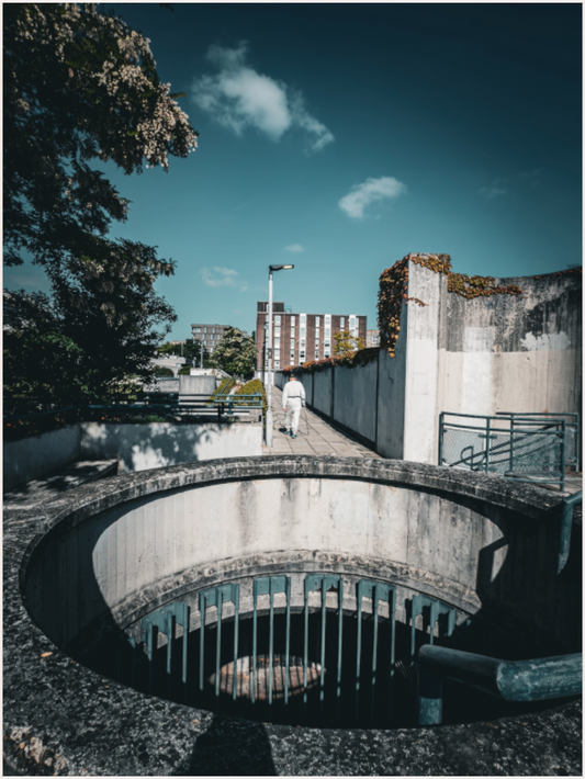 Concrete Curves (Fiammetta Venner)