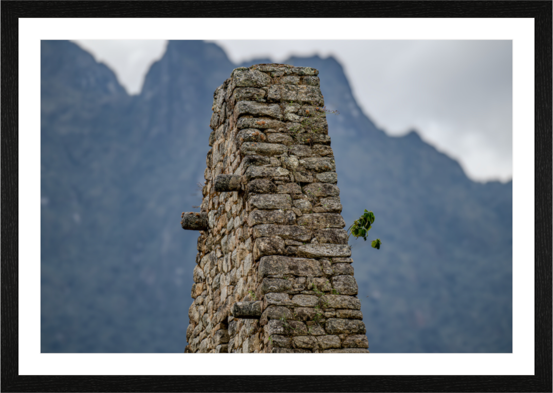 Main image Fiammetta Perou