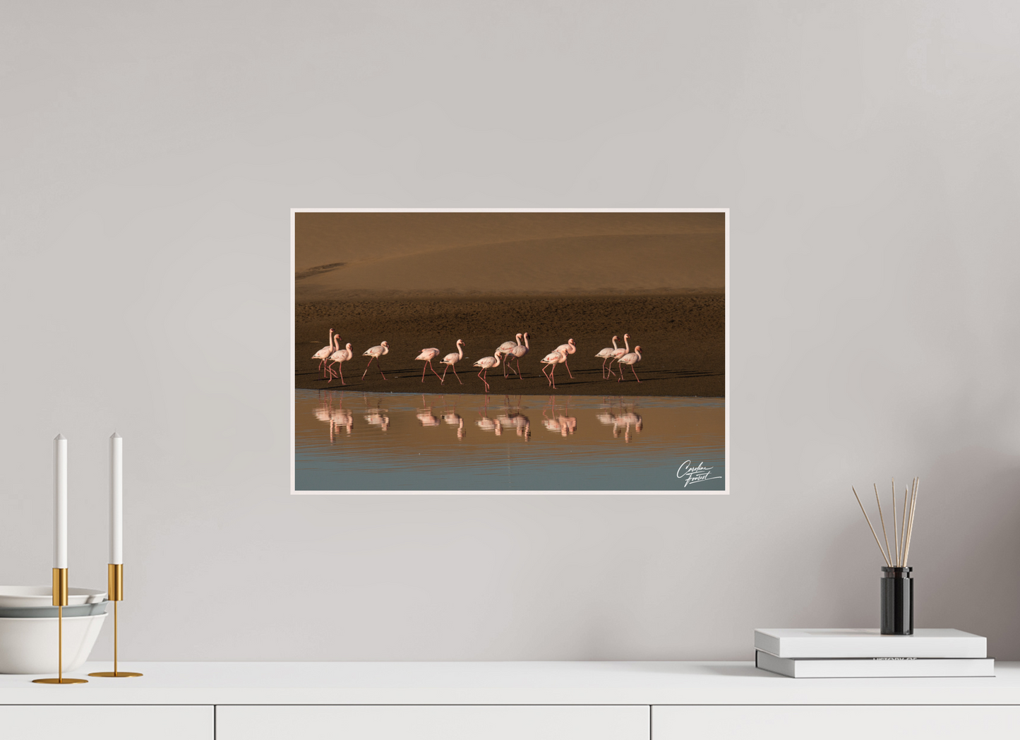 Ballet of the Flamingos (Caroline Fourest)
