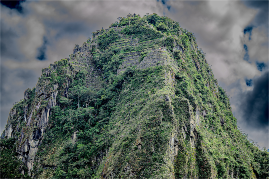 Main image Fiammetta Perou