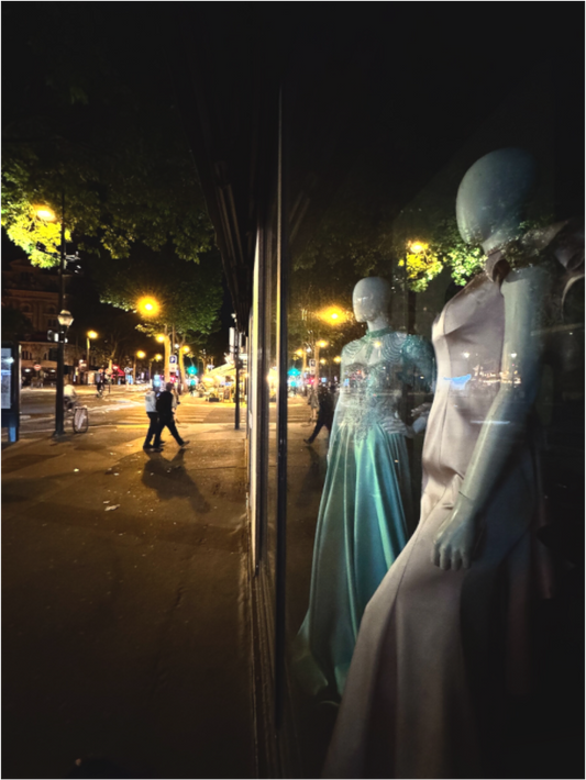 Main image Les dames de la nuit (Marie Sicard)