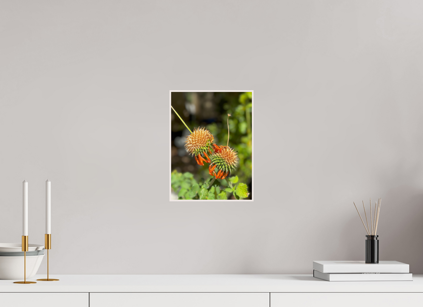 Vibrant Blooms (Fiammetta Venner)