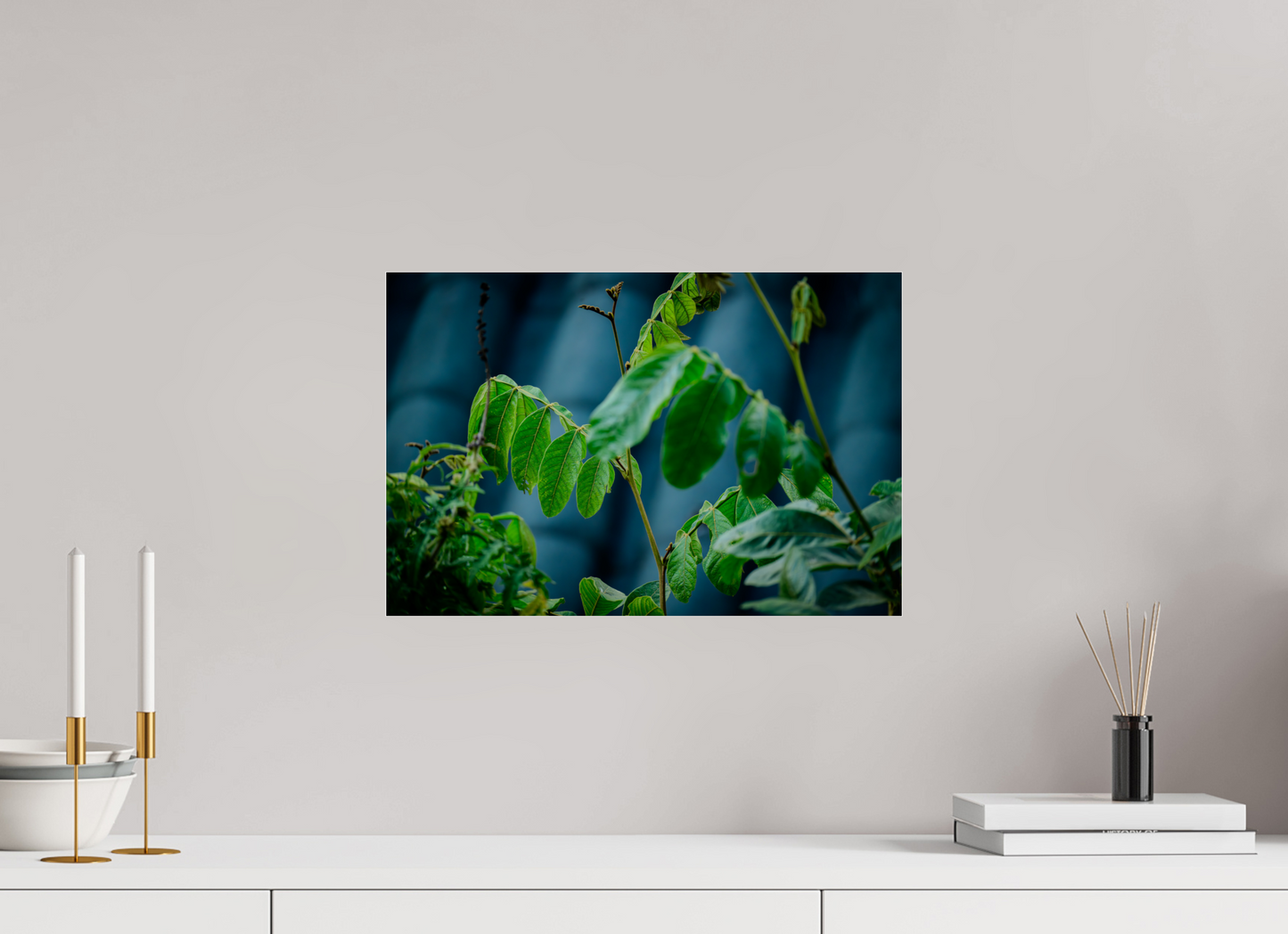 45 x 30 cm, Photo Print Under Acrylic Glass Fiammetta Perou