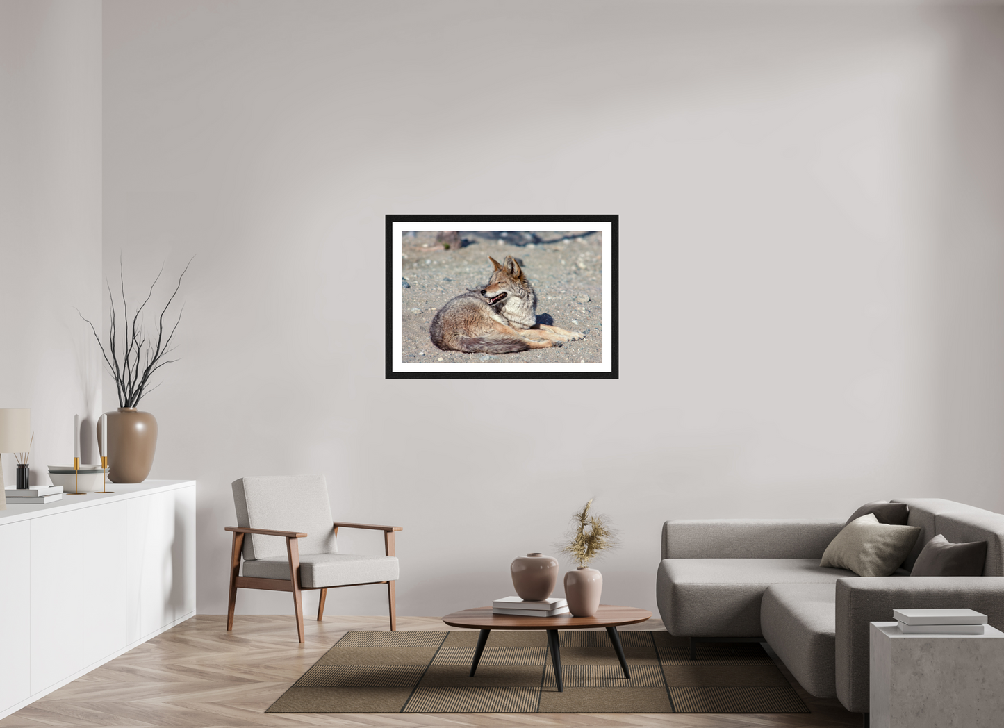 Resting Coyote (Aline de Nanxe)