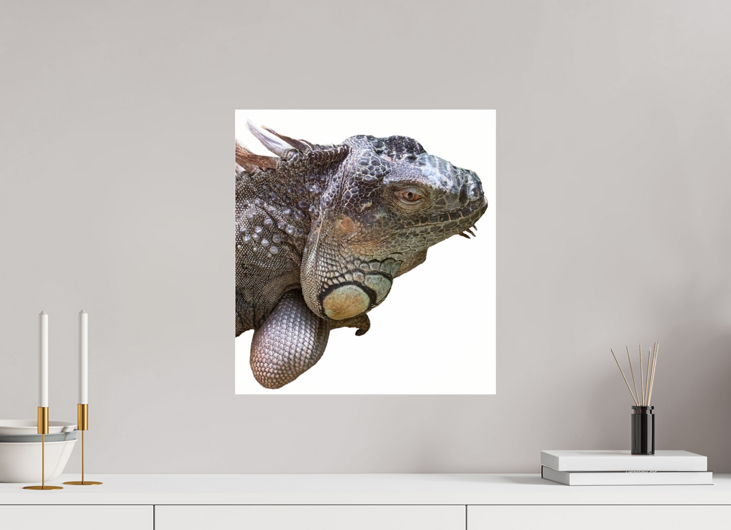 Majestic iguana (Fiammetta Venner)