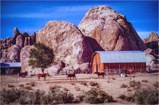 Rustic Harmony (Aline de Nanxe)