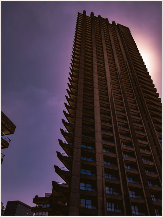 Twilight Towers (Fiammetta Venner)