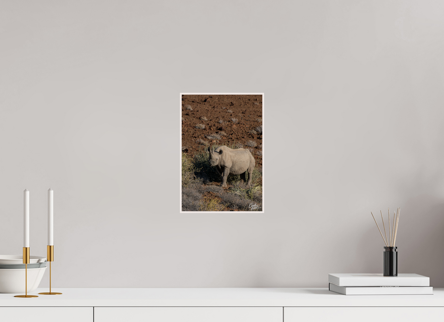 Black rhino guardian (Caroline Fourest)
