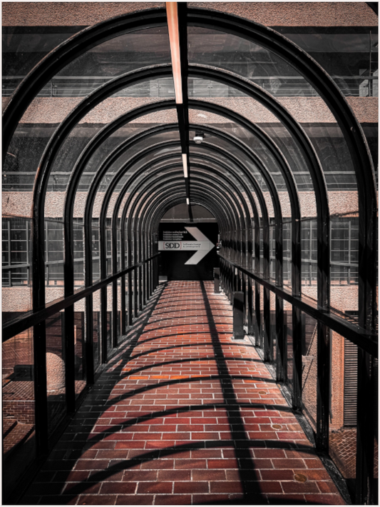 Tunnel of Light (Fiammetta Venner)
