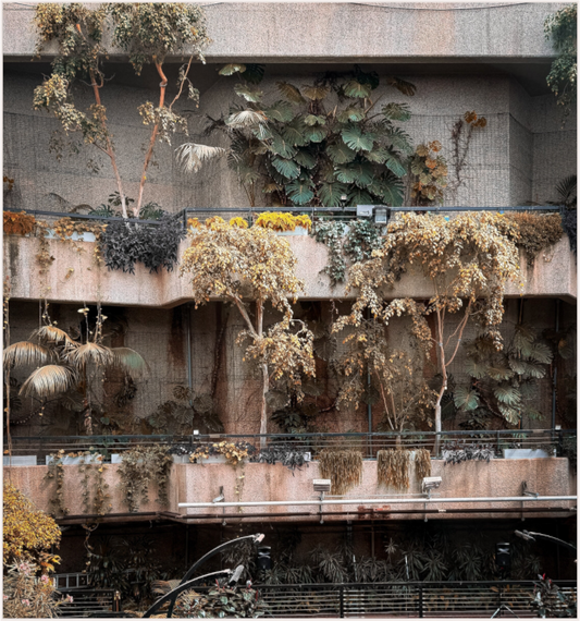 Urban Greenery (Fiammetta Venner)