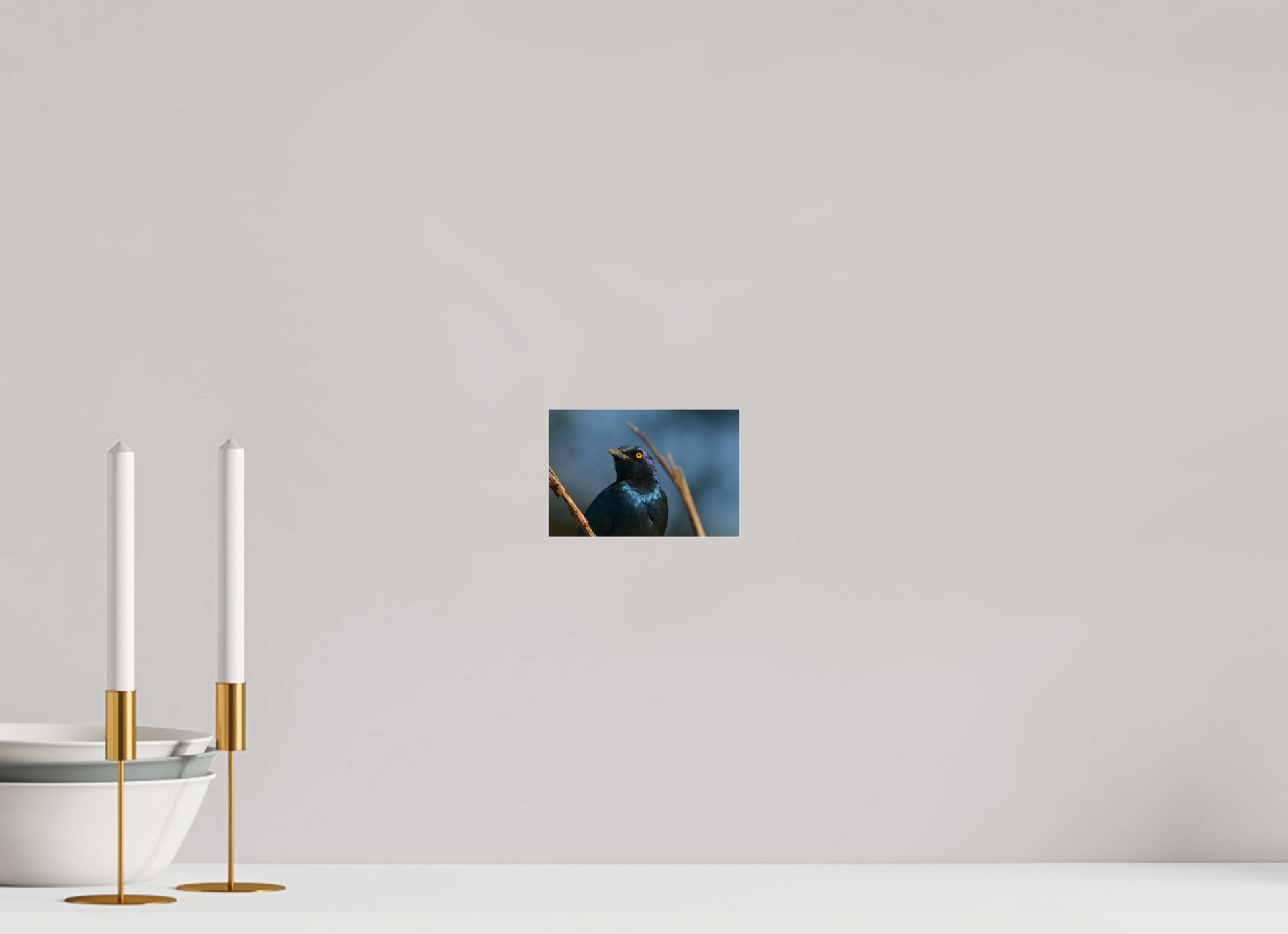 15 x 10 cm, Photo Print Under Acrylic Glass (Caroline Fourest)