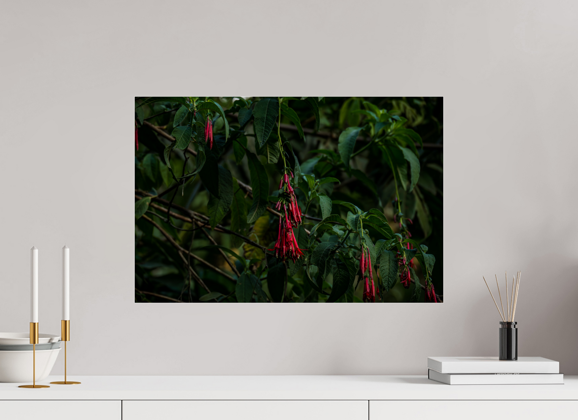 60 x 40 cm, Photo Print Under Acrylic Glass Fiammetta Perou