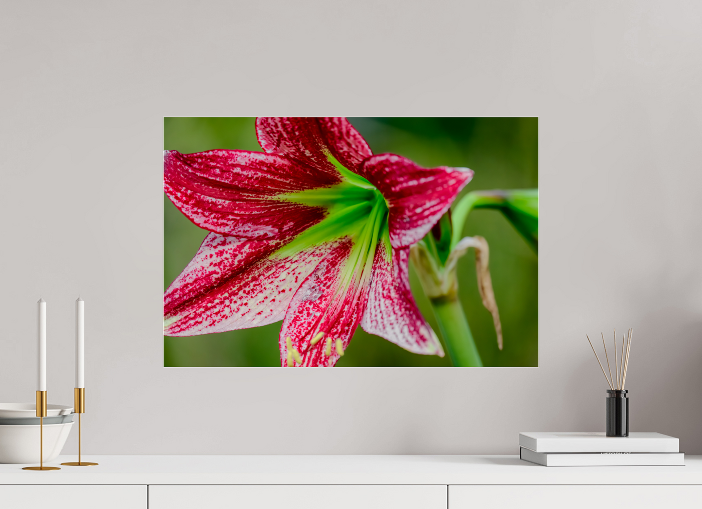 60 x 40 cm, Photo Print Under Acrylic Glass Fiammetta Perou