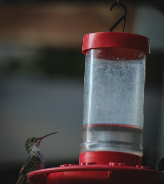 Main image Fiammetta Perou