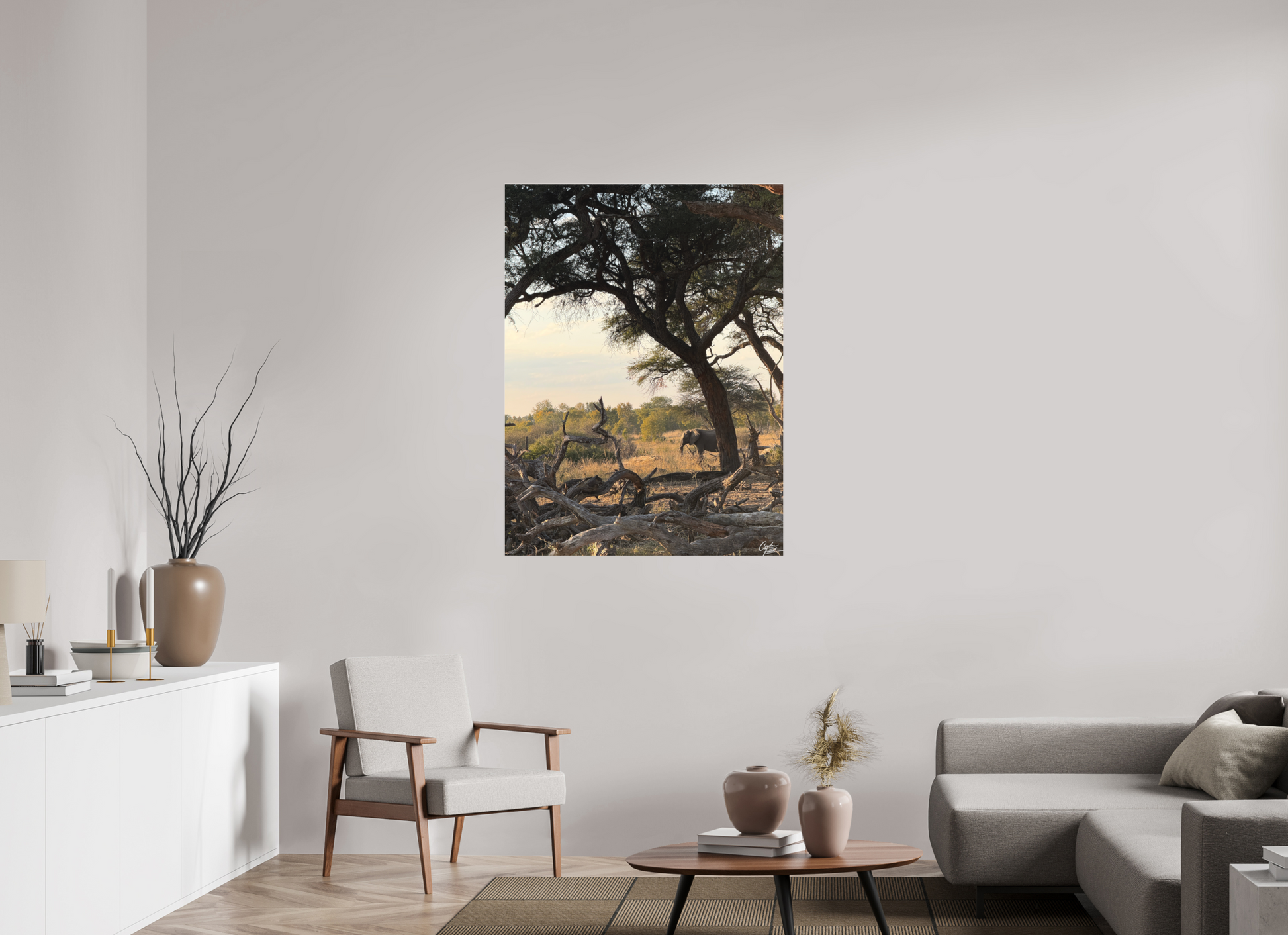 90 x 120 cm, Tirage photo sous Plexi mat The Guardian Tree (Caroline Fourest)