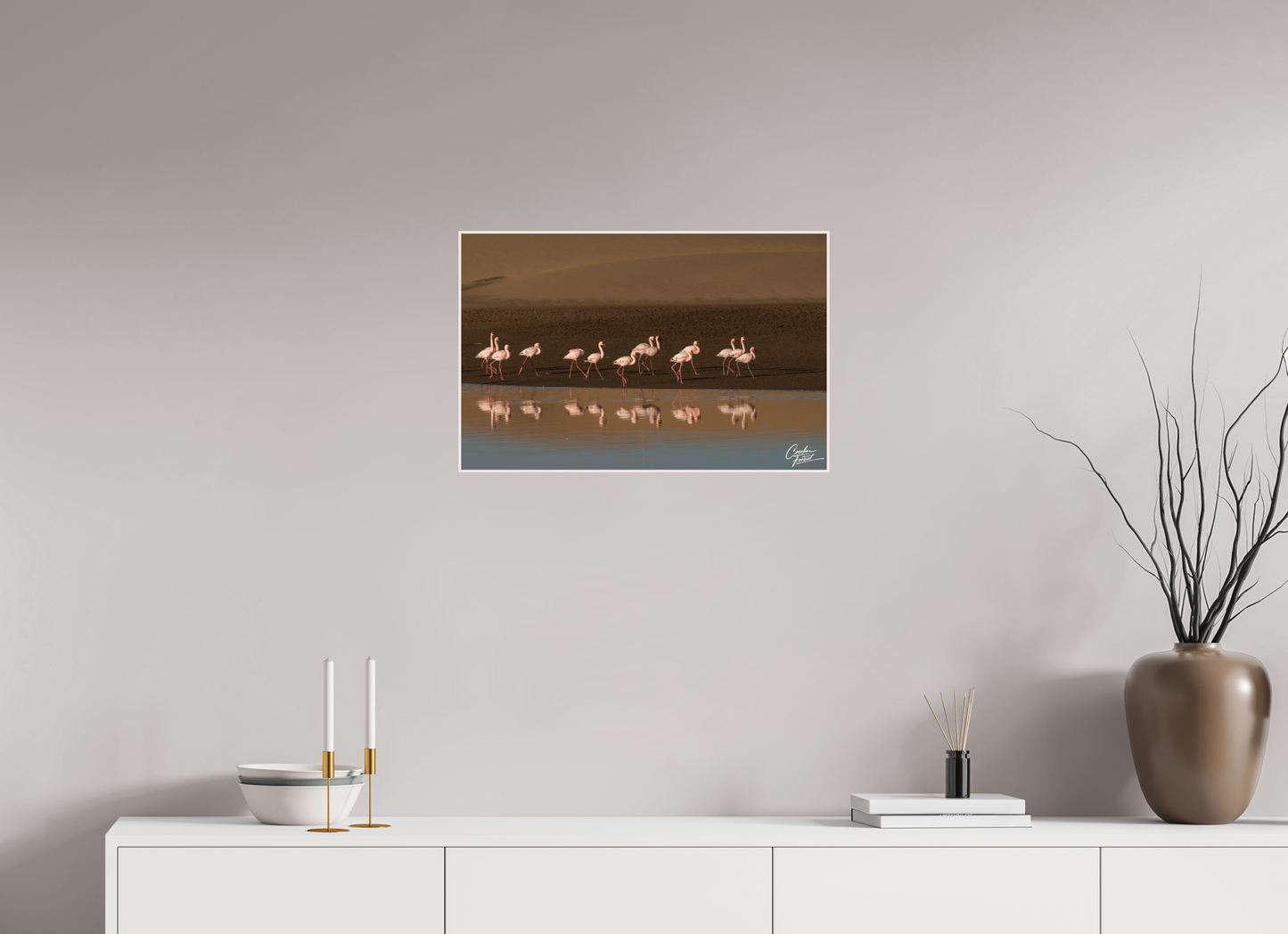 Ballet of the Flamingos (Caroline Fourest)